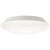 Brilliant LUCIAN Ceiling Light LED white, 1-light source, Remote control, Colour changer
