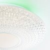 Brilliant LUCIAN Ceiling Light LED white, 1-light source, Remote control, Colour changer