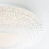 Brilliant LUCIAN Ceiling Light LED white, 1-light source, Remote control, Colour changer