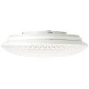 Brilliant LUCIAN Ceiling Light LED white, 1-light source, Remote control, Colour changer