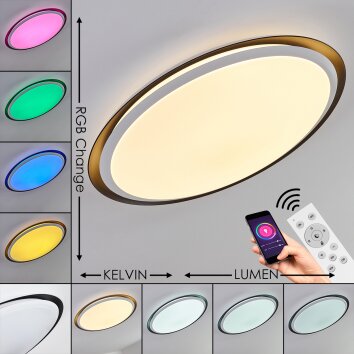 VEJLE Ceiling Light LED white, 2-light sources, Colour changer