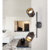 GLOBO TROY Spotlight black, 2-light sources