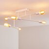 Cahaba Ceiling Light white, 6-light sources