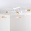 Cahaba Ceiling Light white, 6-light sources