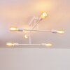 Cahaba Ceiling Light white, 6-light sources