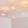 Cahaba Ceiling Light white, 6-light sources