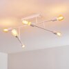 Cahaba Ceiling Light white, 6-light sources