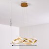 Woyens Pendant Light LED gold, 1-light source