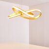 Woyens Pendant Light LED gold, 1-light source