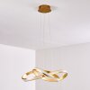 Woyens Pendant Light LED gold, 1-light source