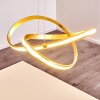 Woyens Pendant Light LED gold, 1-light source