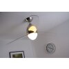 Globo PREMIER fan stainless steel, matt nickel, 2-light sources