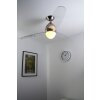 Globo PREMIER fan stainless steel, matt nickel, 2-light sources