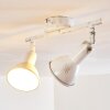 POLMAK ceiling spotlight gold, white, 2-light sources