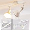 POLMAK ceiling spotlight gold, white, 2-light sources