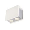 Globo CHRISTINE Ceiling light white, 2-light sources