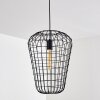 FLAMBEAU Pendant Light black, 1-light source
