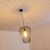 FLAMBEAU Pendant Light black, 1-light source