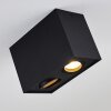 Baishan Ceiling Light black, 2-light sources