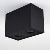 Baishan Ceiling Light black, 2-light sources