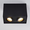 Baishan Ceiling Light black, 2-light sources