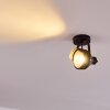 RAHWAY Ceiling Light black, 1-light source