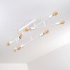 Cahaba Ceiling Light white, 8-light sources