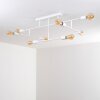 Cahaba Ceiling Light white, 8-light sources