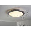 Trio 6265 ceiling light LED titanium, white, 1-light source