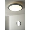 Trio 6265 ceiling light LED titanium, white, 1-light source