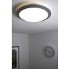 Trio 6265 ceiling light LED titanium, white, 1-light source