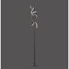 Leuchten-Direkt CURLS Floor Lamp LED black, 2-light sources