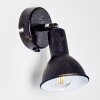 POLMAK wall spotlight black-gold, 1-light source