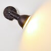 POLMAK wall spotlight black-gold, 1-light source