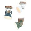Steinhauer GEARWOOD spotlight green, 1-light source