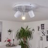 Chennai Ceiling Light LED chrome, white, 3-light sources