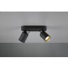 Spotlight Trio Leuchten PAGO black, 2-light sources