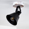 Berkeley Ceiling Light Light wood, black, black-gold, 1-light source