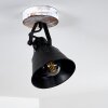 Berkeley Ceiling Light Light wood, black, black-gold, 1-light source