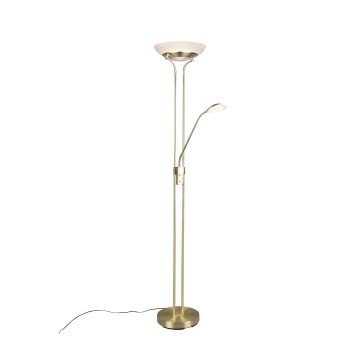 Reality ORSON Floor Lamp LED brass, 2-light sources
