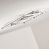 Beken Ceiling Light LED matt nickel, 1-light source