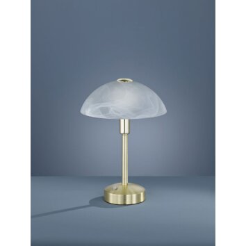 Trio DONNA Table Lamp LED brass, 1-light source
