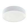 Eglo ROMAO Ceiling Light LED white, 1-light source, Remote control