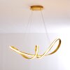 Woyens Pendant Light LED gold, 1-light source