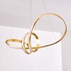 Woyens Pendant Light LED gold, 1-light source