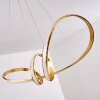 Woyens Pendant Light LED gold, 1-light source