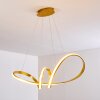 Woyens Pendant Light LED gold, 1-light source