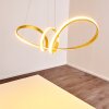 Woyens Pendant Light LED gold, 1-light source