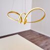 Woyens Pendant Light LED gold, 1-light source