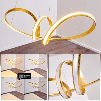 Woyens Pendant Light LED gold, 1-light source